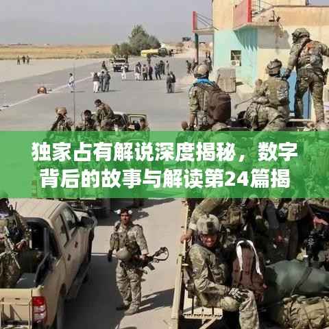 独家占有解说深度揭秘,数字背后的故事与解读第24篇揭秘。