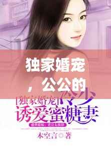 独家婚宠,公公的角色与影响力分析