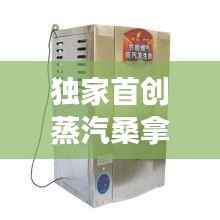 独家首创蒸汽桑拿,桑拿蒸汽机使用说明