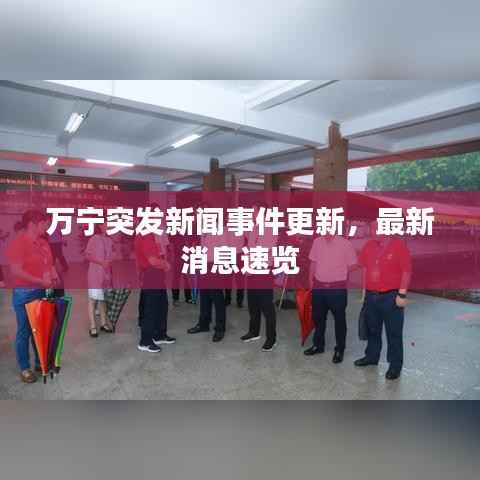 万宁突发新闻事件更新,最新消息速览