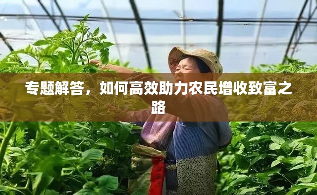 专题解答,如何高效助力农民增收致富之路