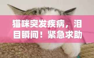 草率从事 第2页