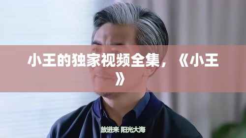 小王的独家视频全集,《小王》