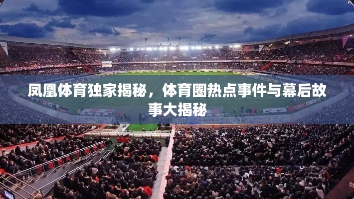 凤凰体育独家揭秘,体育圈热点事件与幕后故事大揭秘