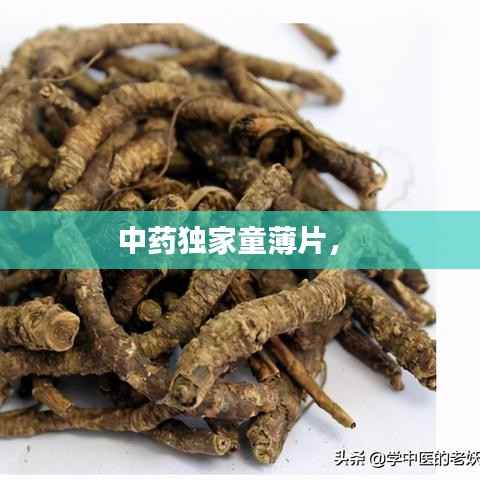 中药独家童薄片,