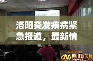 洛阳突发疾病紧急报道,最新情况及影响分析