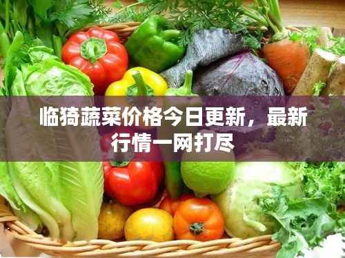 临猗蔬菜价格今日更新,最新行情一网打尽
