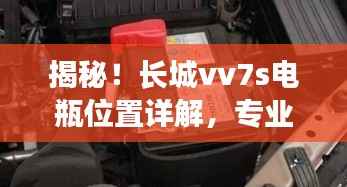采椽不斫