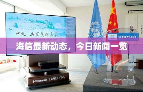 海信最新动态,今日新闻一览