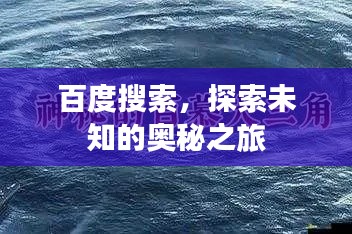 百度搜索,探索未知的奥秘之旅