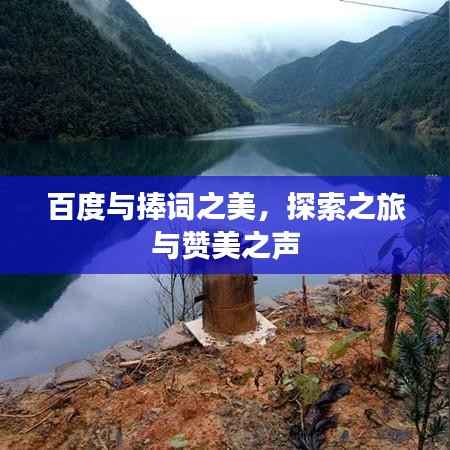 百度与捧词之美，探索之旅与赞美之声