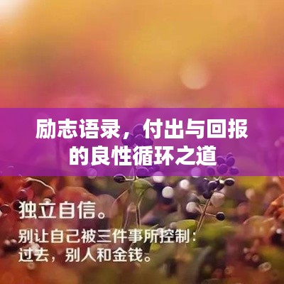 励志语录,付出与回报的良性循环之道