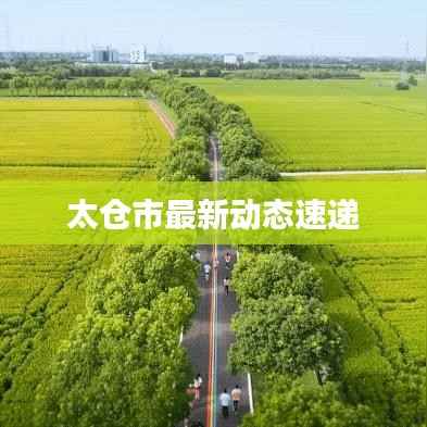 太仓市最新动态速递