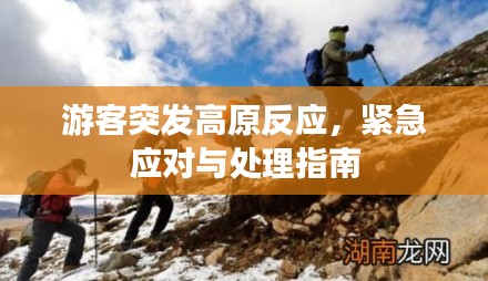 游客突发高原反应，紧急应对与处理指南