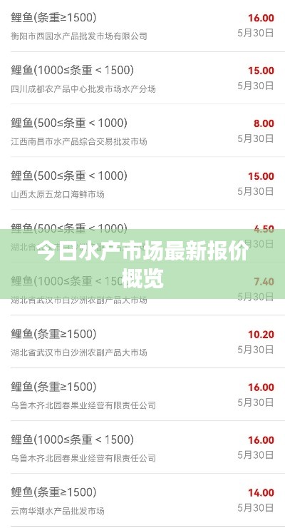 观往知来