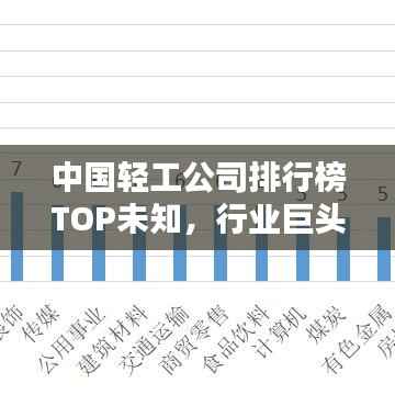 中国轻工公司排行榜TOP未知,行业巨头揭秘!