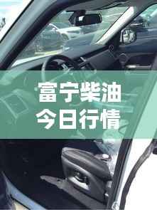 神清气朗 第2页