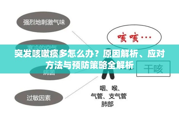 突发咳嗽痰多怎么办?原因解析、应对方法与预防策略全解析