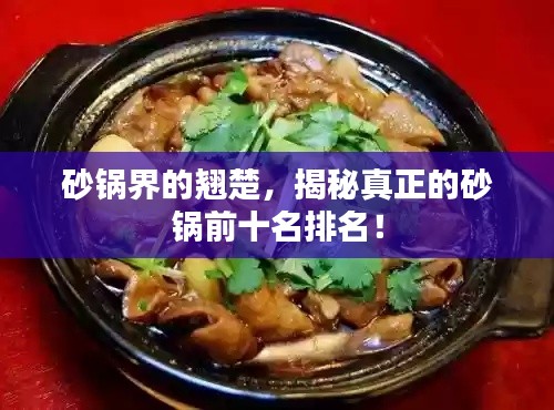 砂锅界的翘楚,揭秘真正的砂锅前十名排名!