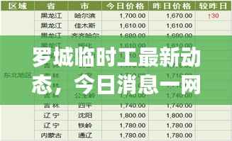罗城临时工最新动态,今日消息一网打尽!