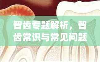 智齿专题解析，智齿常识与常见问题全解析