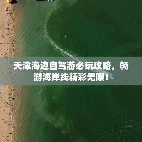 天津海边自驾游必玩攻略,畅游海岸线精彩无限!
