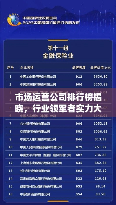 市场运营公司排行榜揭晓,行业领军者实力大揭秘