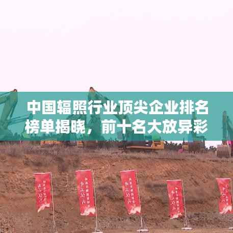 鸢飞鱼跃 第2页