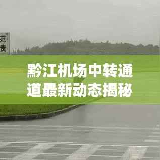 举步如飞 第2页