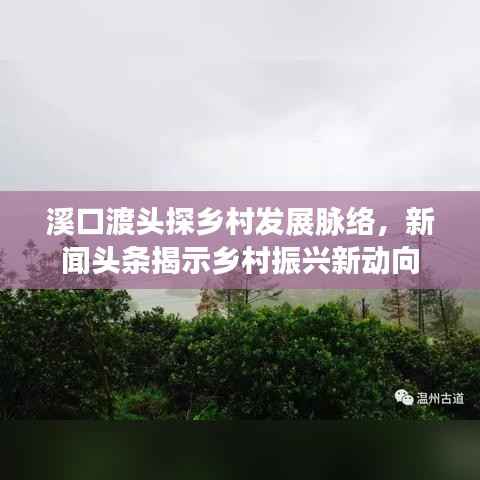 溪口渡头探乡村发展脉络,新闻头条揭示乡村振兴新动向