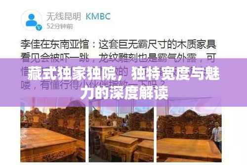 藏式独家独院，独特宽度与魅力的深度解读