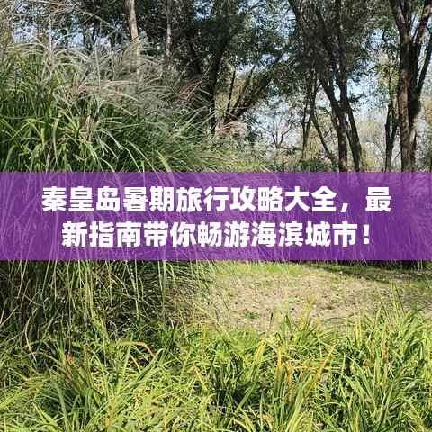 秦皇岛暑期旅行攻略大全，最新指南带你畅游海滨城市！