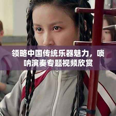 领略中国传统乐器魅力,唢呐演奏专题视频欣赏