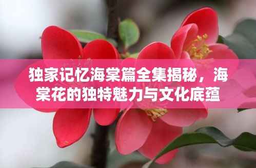 独家记忆海棠篇全集揭秘，海棠花的独特魅力与文化底蕴