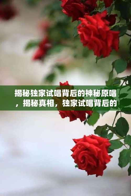 揭秘独家试唱背后的神秘原唱,揭秘真相,独家试唱背后的原唱究竟是谁?