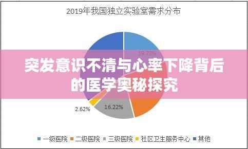 突发意识不清与心率下降背后的医学奥秘探究